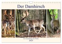 Der Damhirsch - Der Schaufelträger des Waldes (Wandkalender 2025 DIN A4 quer), CALVENDO Monatskalender