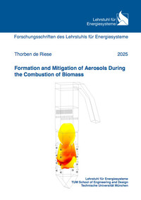 Formation and Mitigation of Aerosols During the Combustion of Biomass