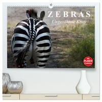 Zebras - Ungezähmte Kraft (hochwertiger Premium Wandkalender 2025 DIN A2 quer), Kunstdruck in Hochglanz