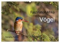 Faszination Afrika - Vögel (Wandkalender 2025 DIN A2 quer), CALVENDO Monatskalender