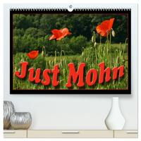 Just Mohn (hochwertiger Premium Wandkalender 2025 DIN A2 quer), Kunstdruck in Hochglanz