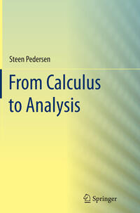 From Calculus to Analysis