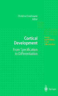 Cortical Development