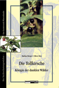 Die Tollkirsche