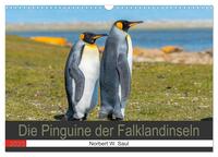 Die Pinguine der Falklandinseln (Wandkalender 2025 DIN A3 quer), CALVENDO Monatskalender