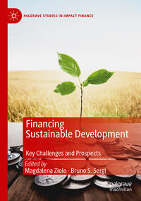 Financing Sustainable Development