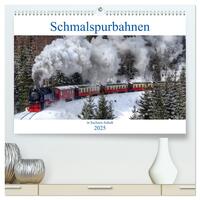 Schmalspurbahnen in Sachsen Anhalt (hochwertiger Premium Wandkalender 2025 DIN A2 quer), Kunstdruck in Hochglanz