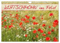 Klatschmohn im Feld (Wandkalender 2025 DIN A4 quer), CALVENDO Monatskalender