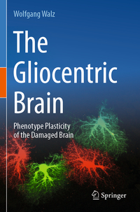 The Gliocentric Brain