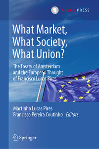 What Market, What Society, What Union?