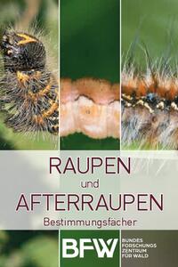 Raupen und Afterraupen