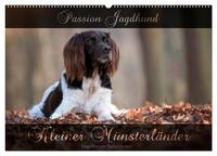 Passion Jagdhund - Kleiner Münsterländer (Wandkalender 2025 DIN A2 quer), CALVENDO Monatskalender