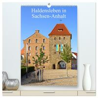 Haldensleben in Sachsen-Anhalt (hochwertiger Premium Wandkalender 2025 DIN A2 hoch), Kunstdruck in Hochglanz