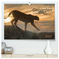 Geparden. Die eleganten Katzen. (hochwertiger Premium Wandkalender 2025 DIN A2 quer), Kunstdruck in Hochglanz