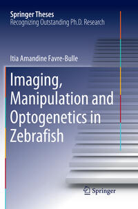 Imaging, Manipulation and Optogenetics in Zebrafish