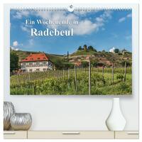 Ein Wochenende in Radebeul (hochwertiger Premium Wandkalender 2025 DIN A2 quer), Kunstdruck in Hochglanz