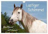 Lustiger Schimmel - ein Pferd mit Humor (Wandkalender 2025 DIN A4 quer), CALVENDO Monatskalender