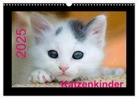 Katzenkinder (Wandkalender 2025 DIN A3 quer), CALVENDO Monatskalender