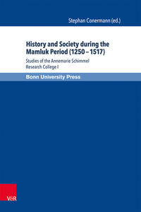 History and Society during the Mamluk Period (1250–1517)