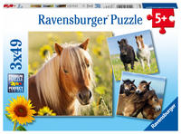 Children's puzzle 3x49 Teile - Liebe Pferde