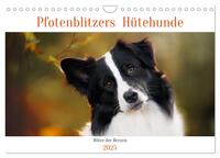 Pfotenblitzers Hütehunde - Hüter der Herzen (Wandkalender 2025 DIN A4 quer), CALVENDO Monatskalender