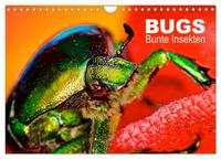 BUGS, Bunte Insekten (Wandkalender 2025 DIN A4 quer), CALVENDO Monatskalender