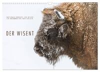 Emotionale Momente: Der Wisent. (Wandkalender 2025 DIN A3 quer), CALVENDO Monatskalender