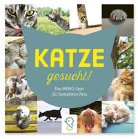 Katze gesucht!