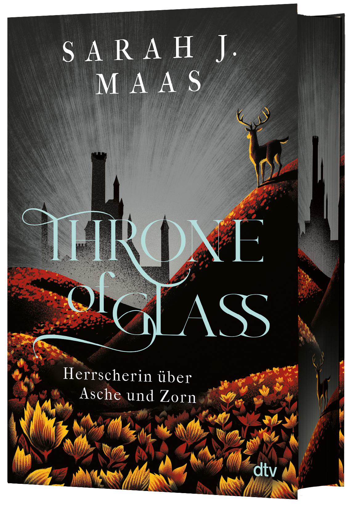 Throne of Glass – Herrscherin über Asche und Zorn