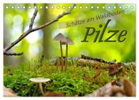 Pilze - Schätze am Waldboden (Tischkalender 2025 DIN A5 quer), CALVENDO Monatskalender