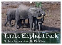 Tembe Elephant Park. Ein Paradies - nicht nur für Elefanten (Wandkalender 2025 DIN A3 quer), CALVENDO Monatskalender