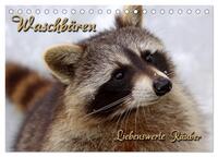 Waschbären (Tischkalender 2025 DIN A5 quer), CALVENDO Monatskalender