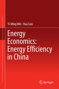 Energy Economics: Energy Efficiency in China