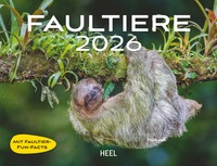 Faultiere Kalender 2026 Wandkalender