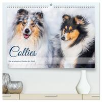 Collies - die schönsten Hunde der Welt (hochwertiger Premium Wandkalender 2025 DIN A2 quer), Kunstdruck in Hochglanz