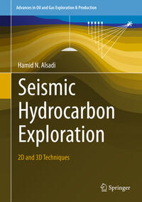 Seismic Hydrocarbon Exploration