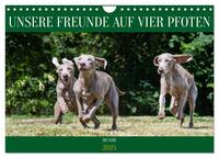 Unsere Freunde auf vier Pfoten - Hunde (Wandkalender 2025 DIN A4 quer), CALVENDO Monatskalender