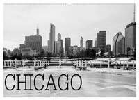 Icy Chicago (Wandkalender 2025 DIN A2 quer), CALVENDO Monatskalender