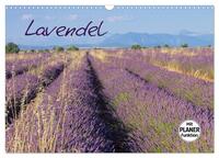 Lavendel (Wandkalender 2025 DIN A3 quer), CALVENDO Monatskalender