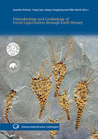 Palaeobiology and Geobiology of Fossil Lagerstätten through Earth History