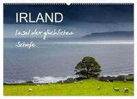 IRLAND - Insel der glücklichen Schafe (Wandkalender 2025 DIN A2 quer), CALVENDO Monatskalender