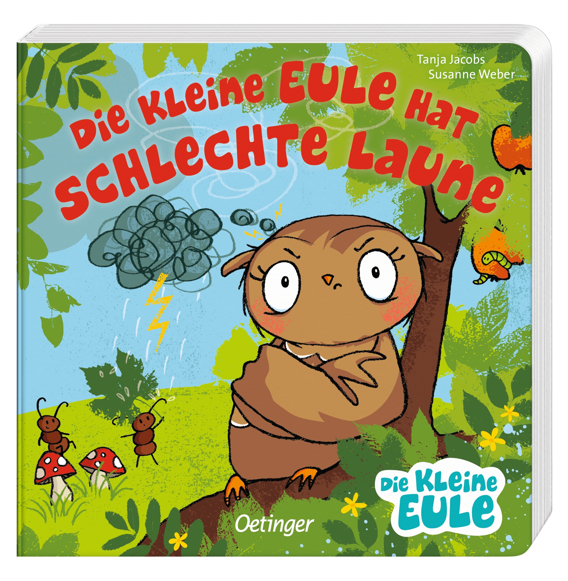 Die kleine Eule hat schlechte Laune