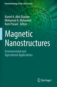 Magnetic Nanostructures