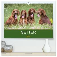 Setter - Geliebter Freund und Jagdkamerad (hochwertiger Premium Wandkalender 2025 DIN A2 quer), Kunstdruck in Hochglanz