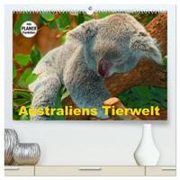 Australiens Tierwelt (hochwertiger Premium Wandkalender 2025 DIN A2 quer), Kunstdruck in Hochglanz