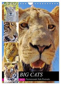 BIG CATS Fazinierende Nah-Portraits (Wandkalender 2025 DIN A4 hoch), CALVENDO Monatskalender