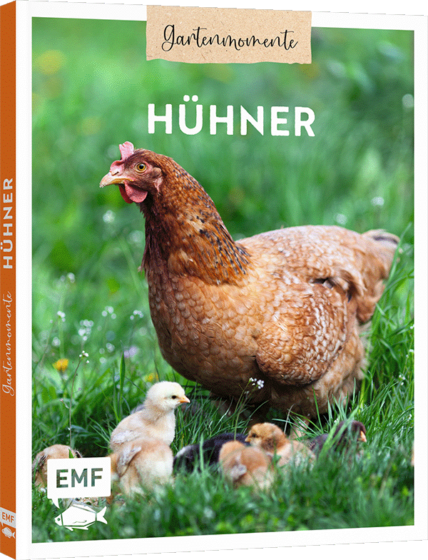 Gartenmomente: Hühner