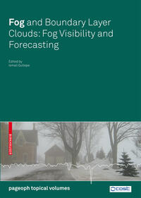 Fog and Boundary Layer Clouds