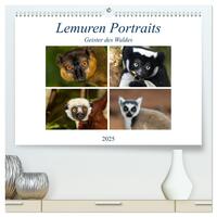 Lemuren Portraits (hochwertiger Premium Wandkalender 2025 DIN A2 quer), Kunstdruck in Hochglanz