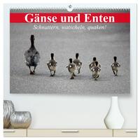 Gänse und Enten. Schnattern, watscheln, quaken! (hochwertiger Premium Wandkalender 2025 DIN A2 quer), Kunstdruck in Hochglanz